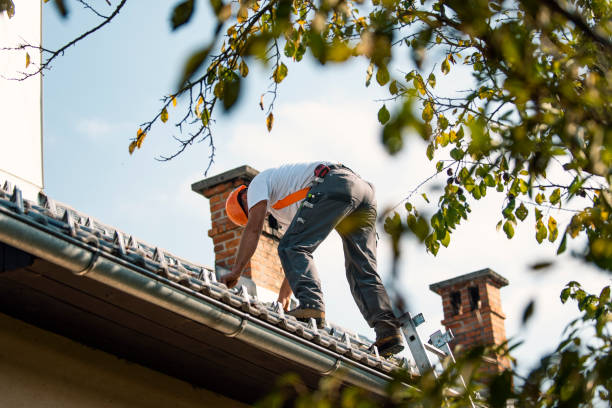 Best Commercial Roofing Services  in Chandler, TX