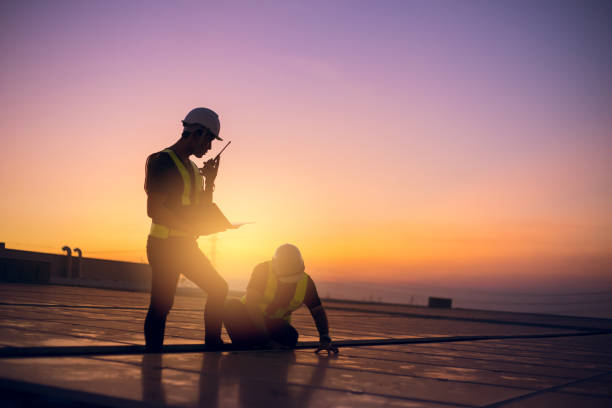 Best Roof Gutter Cleaning  in Chandler, TX